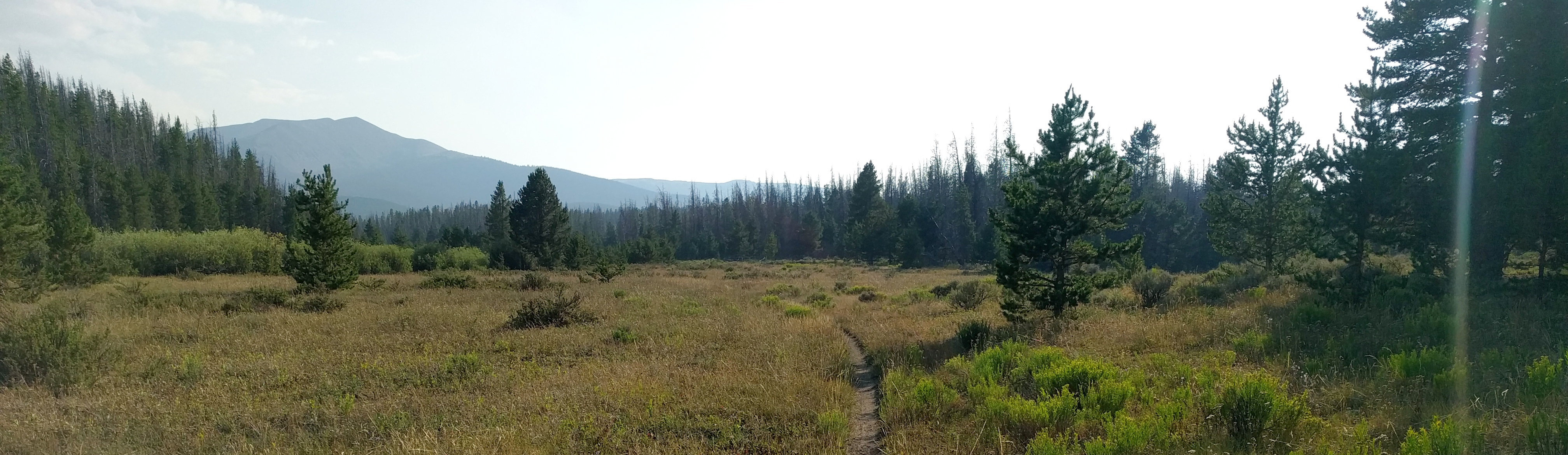 Snyder Creek